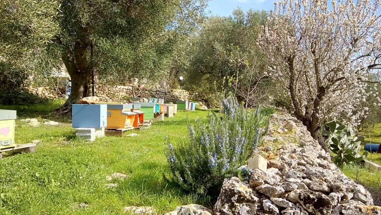 Vivere Ostuni Esterno foto