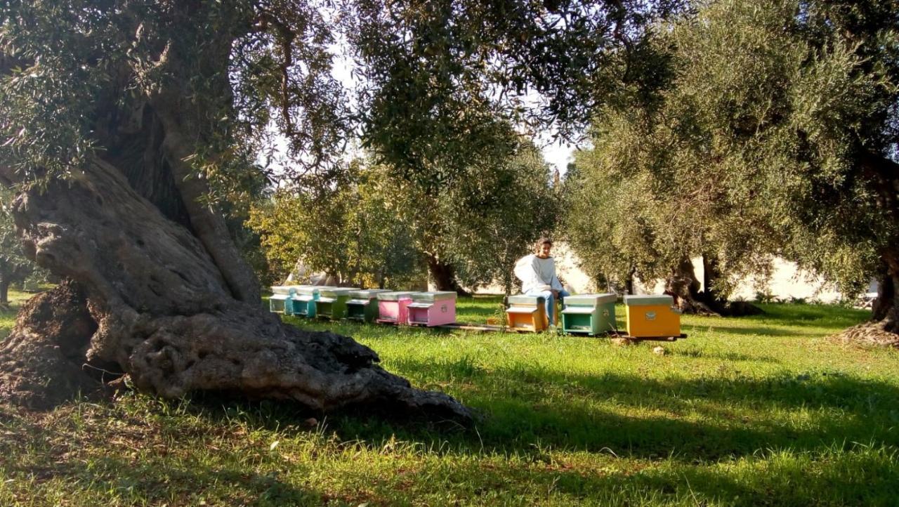 Vivere Ostuni Esterno foto
